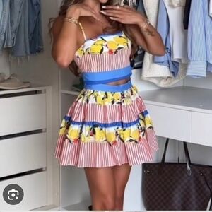 Zara Multicolor Striped and Floral Skirt